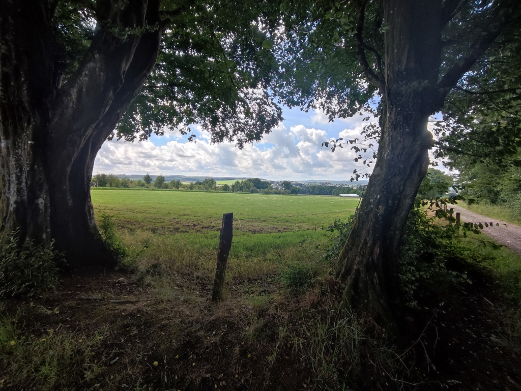 Chemin de Palogne